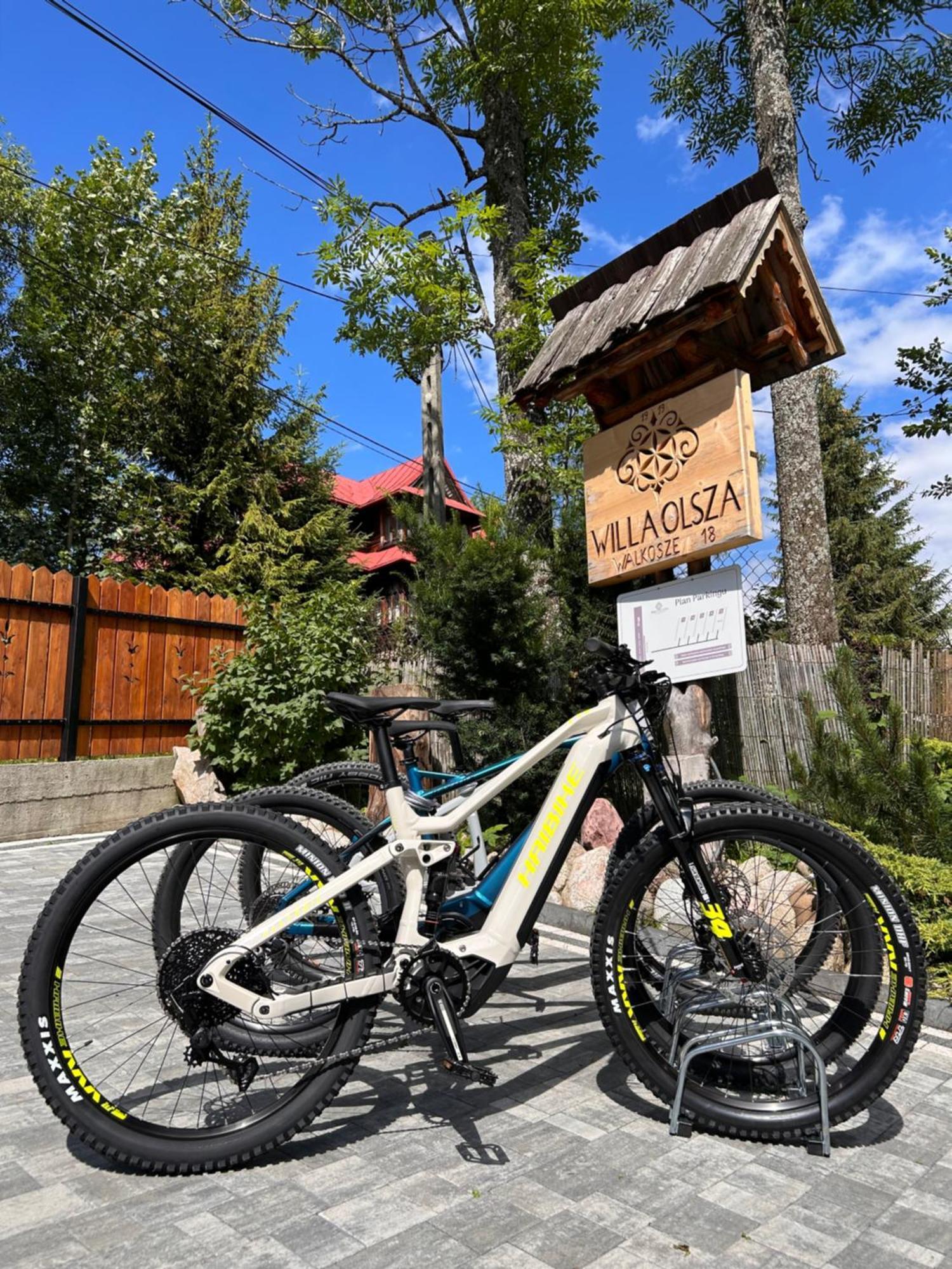 Apartamenty Willa Olsza Wood House & Mountain View & Sauna Zakopane Eksteriør bilde